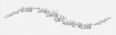 hb-Grass