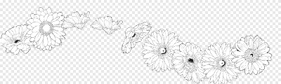 hb-Gerbera 1