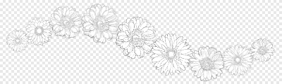 hb-Gerbera 2