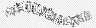 【Hair】Curly hair (more lines)