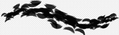 Animal fur fill