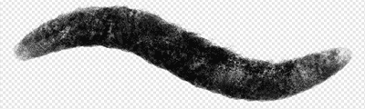 Realistic watercolor brush2