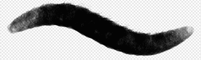Realistic watercolor brush3