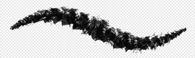 Poofy brush1
