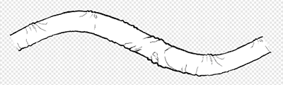 Rope1