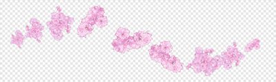 Double Cherry Blossoms